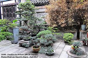 Chengdu avril 2017 - 099